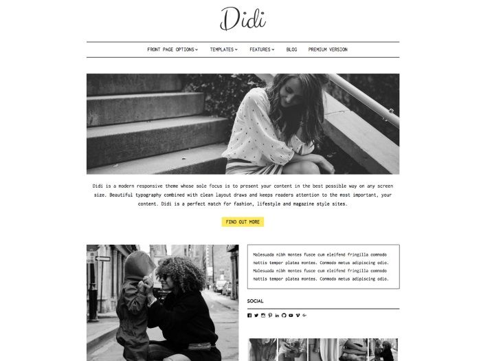 free wordpress themes didi lite