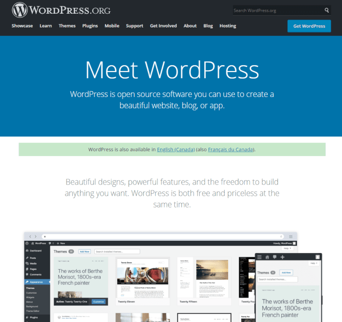 screenshot wordpress homepage